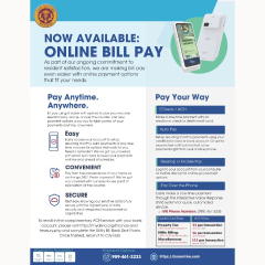 City of Alma, Finance and Treasury